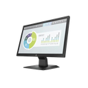 Monitor HP P204  19.5" 1600 x 900 TN  LED