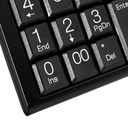 Teclado numérico alámbrico Klip Xtreme KNP-100 color negro