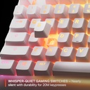 Teclado SteelSeries Apex 3 TKL RGB White