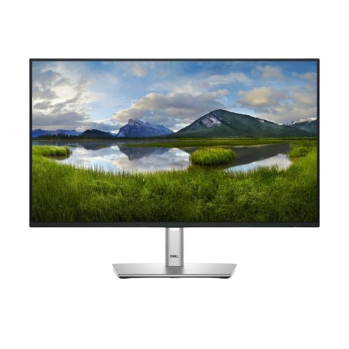 Monitor Dell P2425H 23.8" 1920x1080 FHD 100Hz 