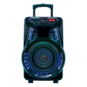 Bocina Dolphin SP 17RBT Trolley 12 Bluetooth con micrófono 80 RMS color Negro